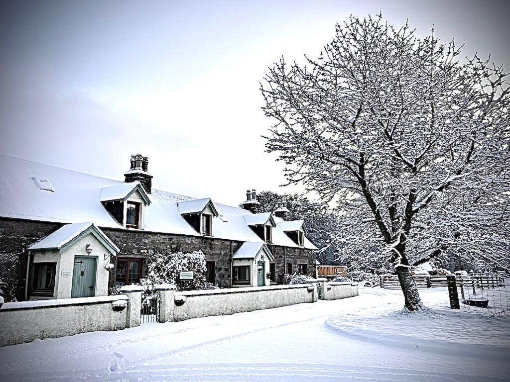 Rosemount Cottage Two - Highland Cottage غارف المظهر الخارجي الصورة